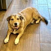 Thumbnail photo of Bella #2