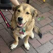 Thumbnail photo of Bella #3