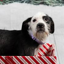 Thumbnail photo of Trek #4