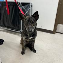 Thumbnail photo of Clay #1