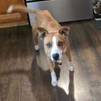 Thumbnail photo of Chance #2