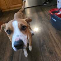 Thumbnail photo of Chance #3