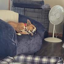 Thumbnail photo of Chance #4