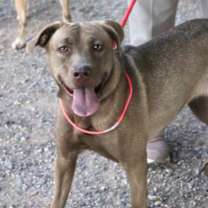 Thumbnail photo of Justina* #2