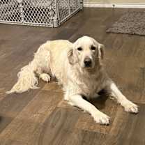 Thumbnail photo of Jemma #2