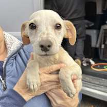 Thumbnail photo of Kevin Jonas #2