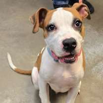 Thumbnail photo of Boyd #3