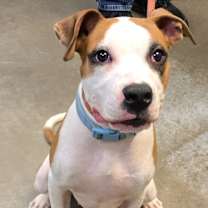 Thumbnail photo of Boyd #4