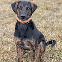 Thumbnail photo of Walter #2