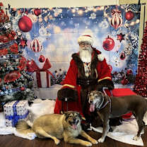 Thumbnail photo of Maggie #2