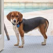 Thumbnail photo of Sprite #2