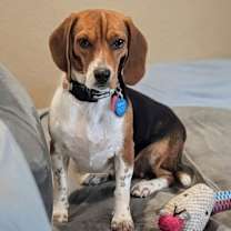 Thumbnail photo of Sprite #3