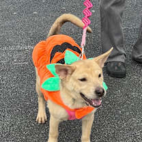 Thumbnail photo of Nora #1