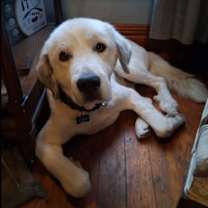 Thumbnail photo of River #3