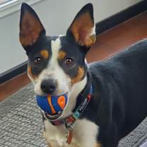 Thumbnail photo of Zagjhe #2