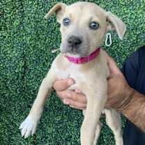 Thumbnail photo of 59807087 #1