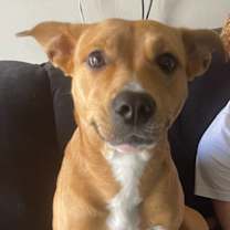 Thumbnail photo of Athena #2