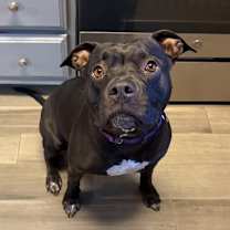 Thumbnail photo of Candy #1