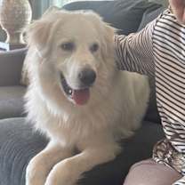 Thumbnail photo of Albus 1433 #2