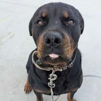 Thumbnail photo of Zeus #3