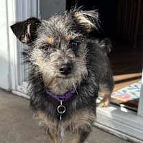 Thumbnail photo of Carter #2