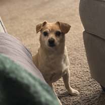 Thumbnail photo of Simon #4