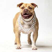 Thumbnail photo of Maya #2