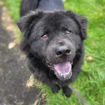 Thumbnail photo of Hercules #1