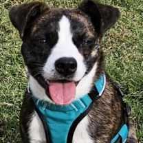 Thumbnail photo of Jessie #3