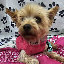 Thumbnail photo of Maeve #3