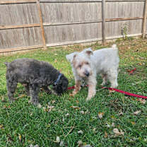 Thumbnail photo of Miller #2