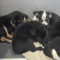 Thumbnail photo of Benson #2