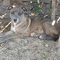 Thumbnail photo of Georgia #2