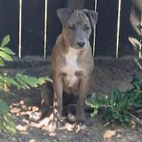 Thumbnail photo of Georgia #3