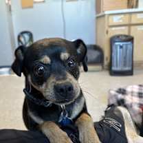 Thumbnail photo of Dude #3