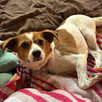 Thumbnail photo of Freya #1