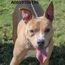 Thumbnail photo of Thanos #1