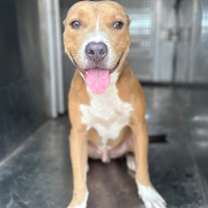 Thumbnail photo of Thanos #3