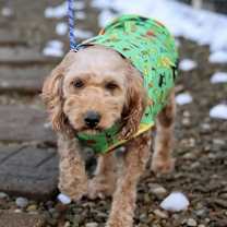 Thumbnail photo of Daphne #3