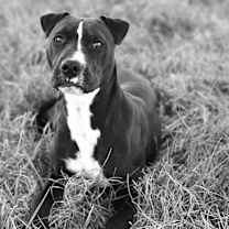 Thumbnail photo of Hetty Woodstone #3