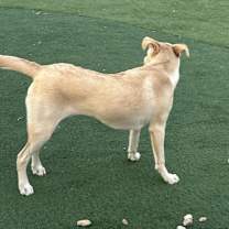 Thumbnail photo of Ella #1