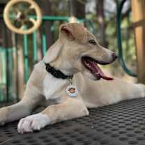 Thumbnail photo of Ella #2