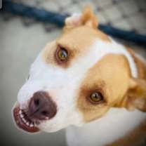 Thumbnail photo of Bonnie #1