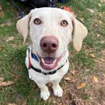 Thumbnail photo of Miriam  #1