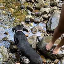 Thumbnail photo of Lilo Chatman #4