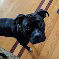 Thumbnail photo of Zeus #1