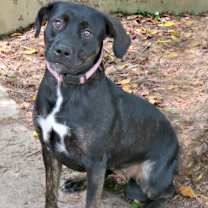 Thumbnail photo of Billie #2