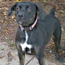 Thumbnail photo of Billie #4