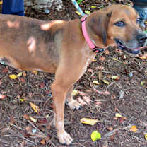 Thumbnail photo of Brooklyn #2