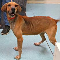 Thumbnail photo of Brooklyn #3